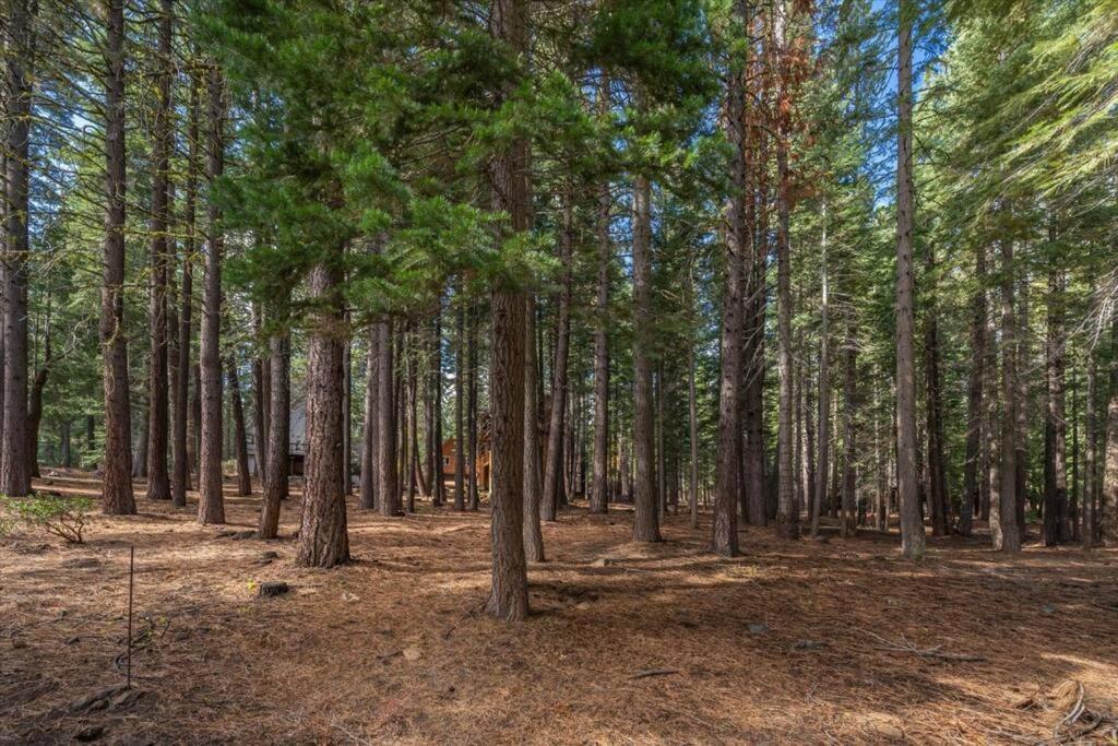 3Br Tahoe Donner Cabin With Hoa Perks Like Pools Hot-Tub Minutes To Trails Lake Golf Truckee Exteriér fotografie
